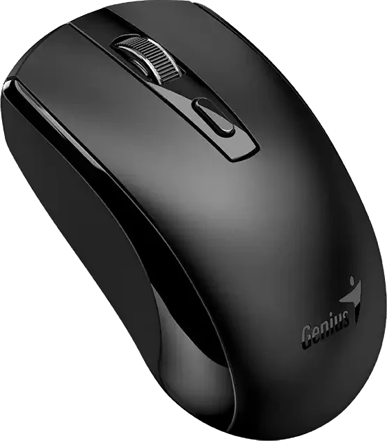 Genius ECO-8150 Copilot Wireless Rechargeable Optical Mouse schwarz, USB