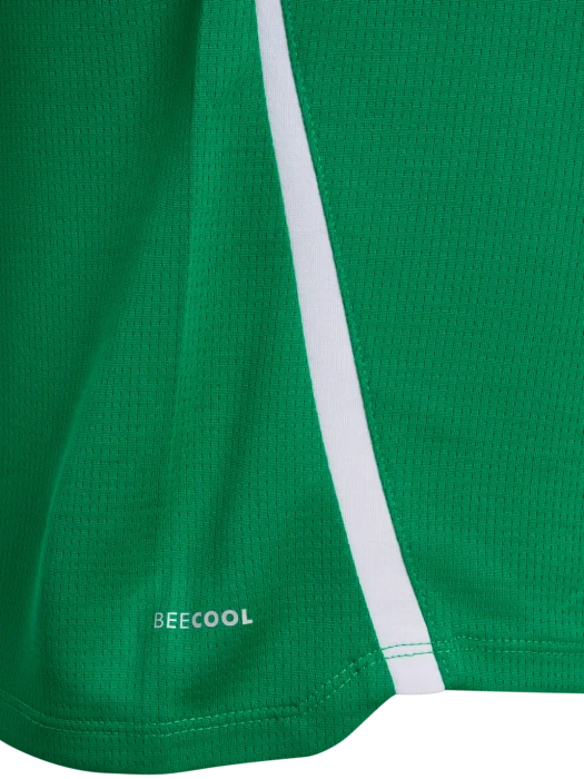 hummel Lead 2.0 Funktionsshirt kurzarm jelly bean/evergreen (Herren)