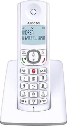 Alcatel F530 grau/weiß