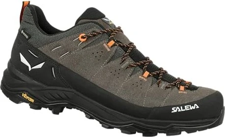 Salewa Alp Trainer 2 GTX (Herren)