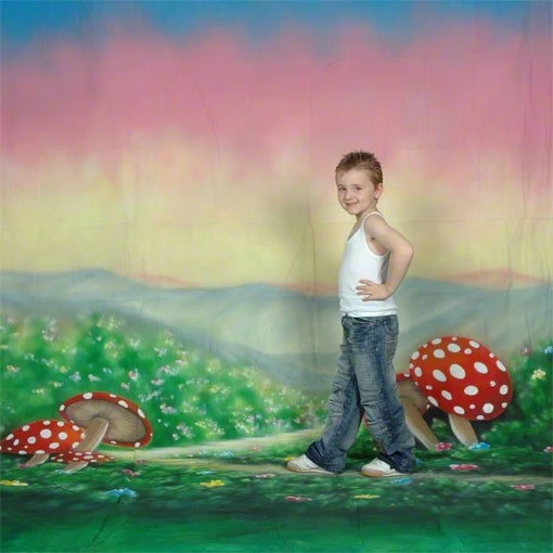 Walimex Pro Motiv-Stoffhintergrund Alice 300x600cm