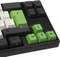 Ducky Miya Pro Panda Edition PBT, schwarz, Tasten weiß/grün, LEDs weiß, MX SPEED Silver, USB, DE Vorschaubild