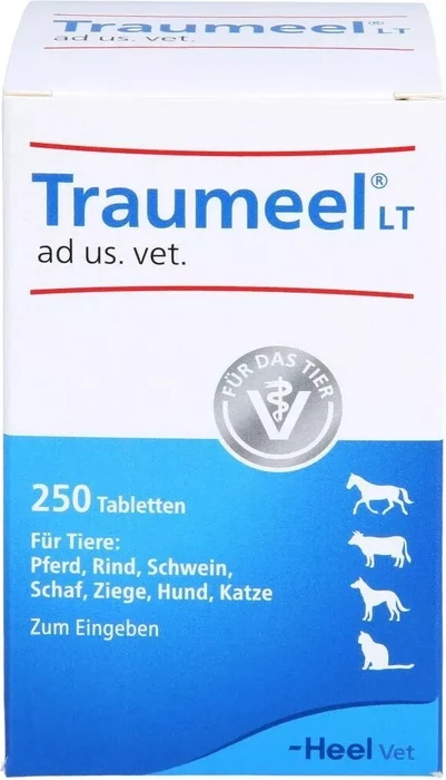 Heel Traumeel LT ad us. vet. Ampullen, 100 Stück