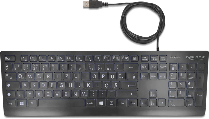 DeLOCK USB Keyboard mit XXL Buchstaben, schwarz, beleuchtet, USB, DE