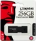 Kingston DataTraveler 100 G3 256GB, USB-A, USB 3.2 Gen 1×1 Vorschaubild