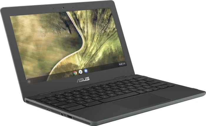 ASUS Chromebook C204MA-GJ0114, Dark Grey, Celeron N4000, 4GB RAM, 32GB Flash, DE