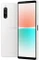 Sony Xperia 10 IV Vorschaubild