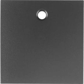 Berker S.1/B.3/B.7 Zentralstück für Zugschalter/-taster, anthrazit matt