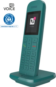 Telekom Speedphone 12 Petrol