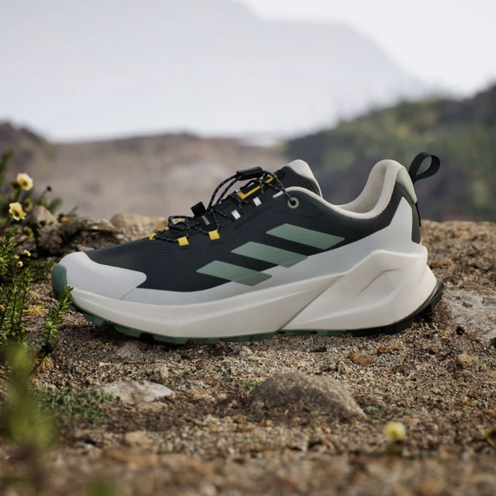 adidas National Geographic Terrex Trailmaker 2 GTX Speed Lace carbon/silver green/orbit grey (Herren)