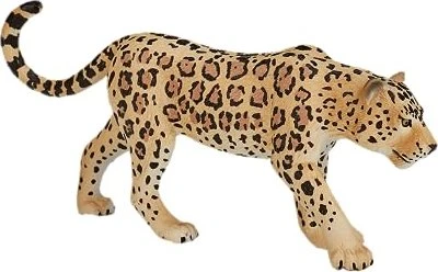 Mojo Wildlife - Leopard