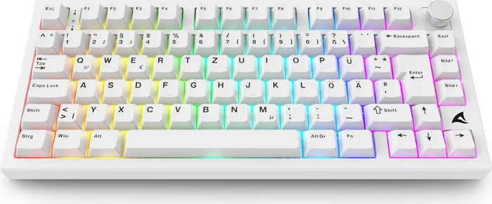 Sharkoon Skiller SGK55W, weiß, LEDs RGB, hot-swap, Sharkoon Linear, USB, DE