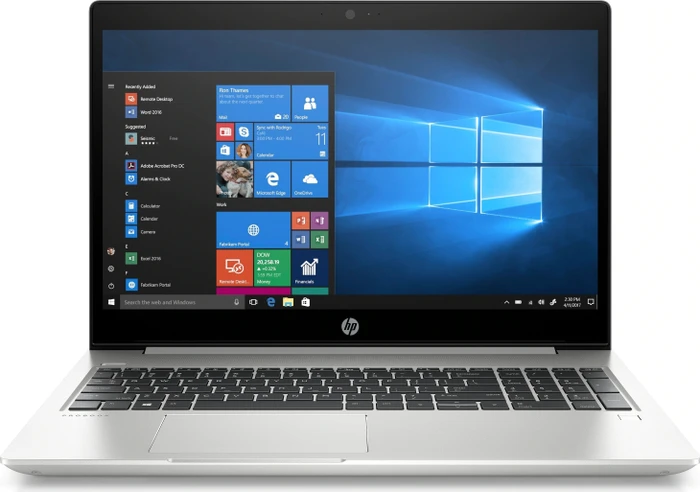 HP ProBook 455 G6, silber, Ryzen 5 2500U, 8GB RAM, 256GB SSD, DE