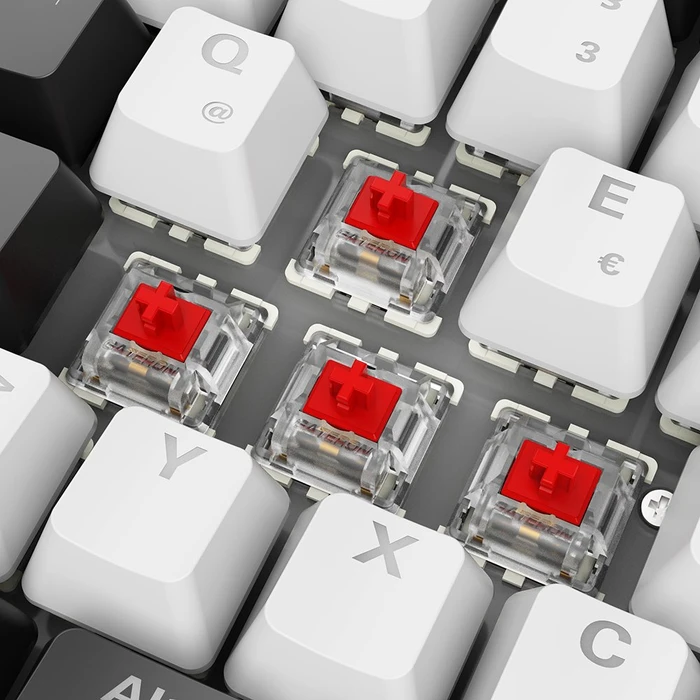 Sharkoon Skiller SGK50 S2 White, schwarz/weiß, LEDs RGB, hot-swap, Gateron RED, USB, DE