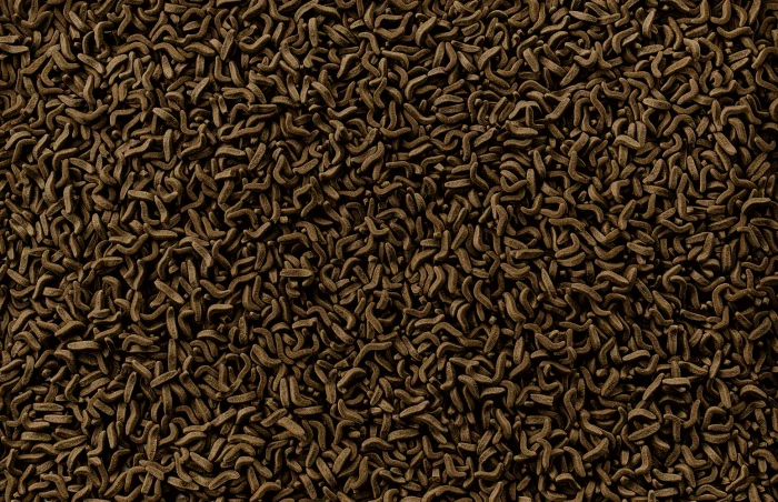 Tetra ReptoMin Sticks Reptilienfutter, 60g, 250ml