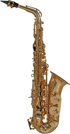 Roy Benson Eb-Alt Saxophon AS-202