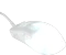 Endgame Gear OP1 RGB Gaming Mouse White Frost, USB Vorschaubild