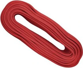Tendon Ambition Einfachseil 10mm