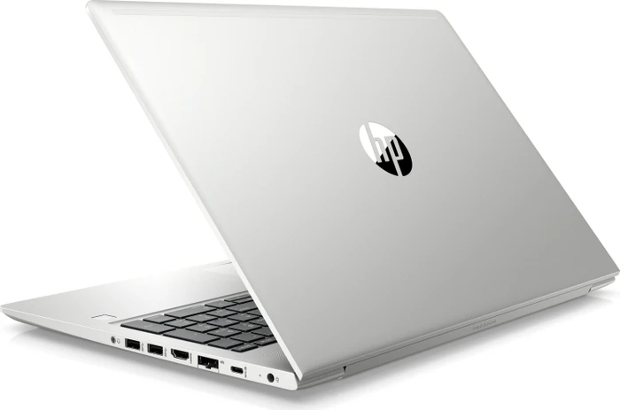 HP ProBook 455 G6, silber, Ryzen 5 2500U, 8GB RAM, 256GB SSD, DE