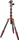 3 Legged Thing Legends Bucky Kit bronze (BUCKYKIT)