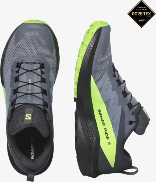 Salomon Sense Ride 5 GTX flint stone/black/green gecko (Herren)