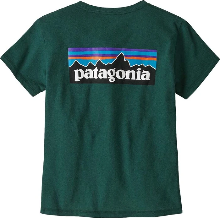 Patagonia P-6 Logo Responsibili-Tee T-Shirt kurzarm cascade green (Damen)
