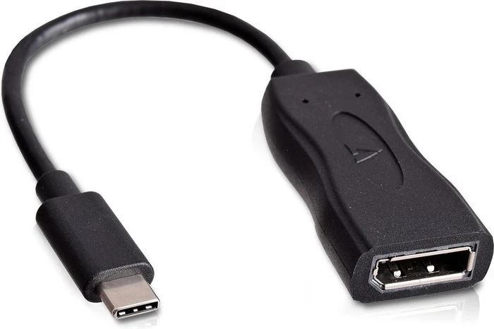 V7 USB-C auf DisplayPort Adapter schwarz