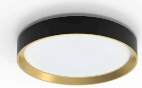 Philips Hanno SS RD LED-Deckenleuchte 4000K schwarz/gold