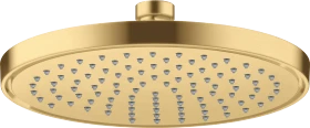 Hansgrohe AXOR ShowerSolutions Kopfbrause 220 1jet brushed goldoptik