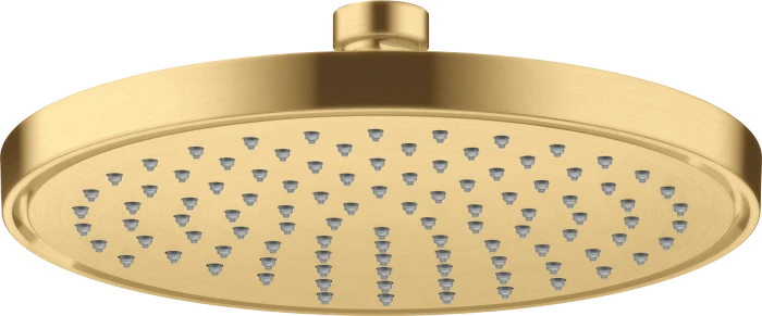 Hansgrohe AXOR ShowerSolutions Kopfbrause 220 1jet brushed goldoptik