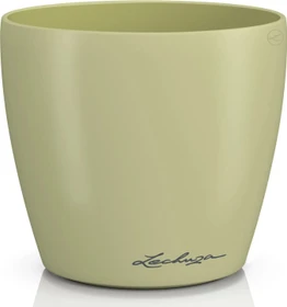 Lechuza Classico Color Deco 12 linde