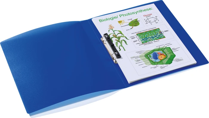 Herma Ringbuch 2-Ring, 25mm, A4, dunkelblau/transparent, 3er-Pack