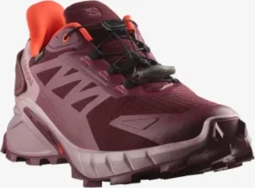 Salomon Supercross 4 GTX tawny port/deauville mauve/cherry tomato (Damen)