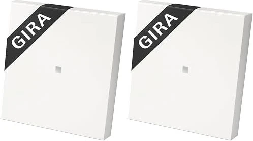 Gira Wippe mit Kontrollfenster 3290
