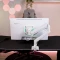 Arozzi Nova 24T1K200, White, 23.8" Vorschaubild