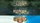 Bioshock - Triple Pack (Download) (PC)