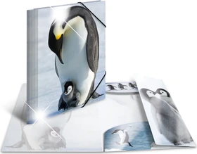 Herma Glossy Tiere Sammelmappe, A4, Pinguine, 3er-Pack
