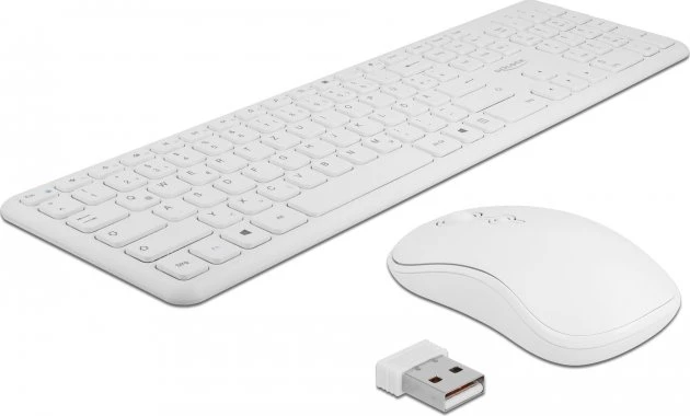 DeLOCK kabellose Tastatur und Maus Set weiß, USB, DE