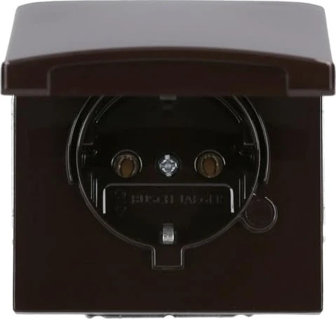 Busch-Jaeger Allwetter 44 SCHUKO Steckdosen-Einsatz mit Klappdeckel, braun