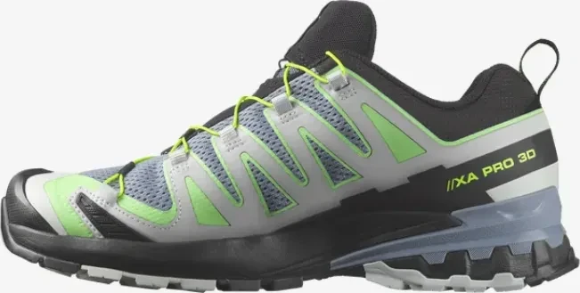 Salomon XA Pro 3D V9 GTX flint stone/green gecko/black (Herren)