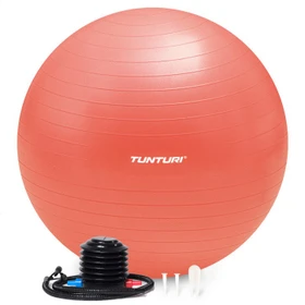 Tunturi Anti Burst 65cm Gymnastikball roségold