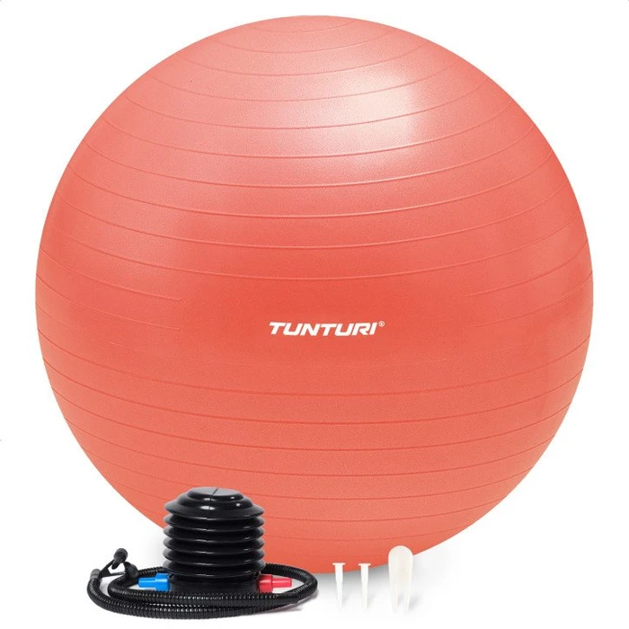 Tunturi Anti Burst 65cm Gymnastikball roségold