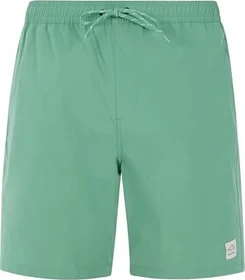 Protest Baky Badeshorts frosty green (Herren)