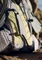 Jack Wolfskin Athmos Shape 24 silver all over Vorschaubild