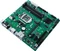 ASUS Prime B365M-C/CSM (Intel 1151 v2) Vorschaubild