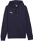 Puma teamGOAL 23 Hoodie (Herren) Vorschaubild