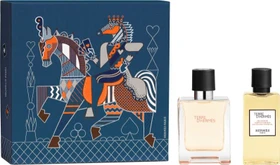 Hermès Terre d'Hermès EdT 50ml + DG 40ml Duftset