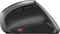 Cherry MW 4500 Wireless Ergonomic Mouse, USB Vorschaubild