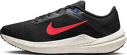 Nike Winflo 10 (Herren)