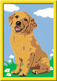 Ravensburger Malen nach Zahlen Kleiner Golden Retriever